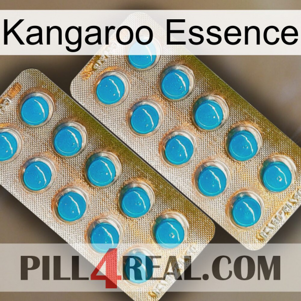 Kangaroo Essence new08.jpg